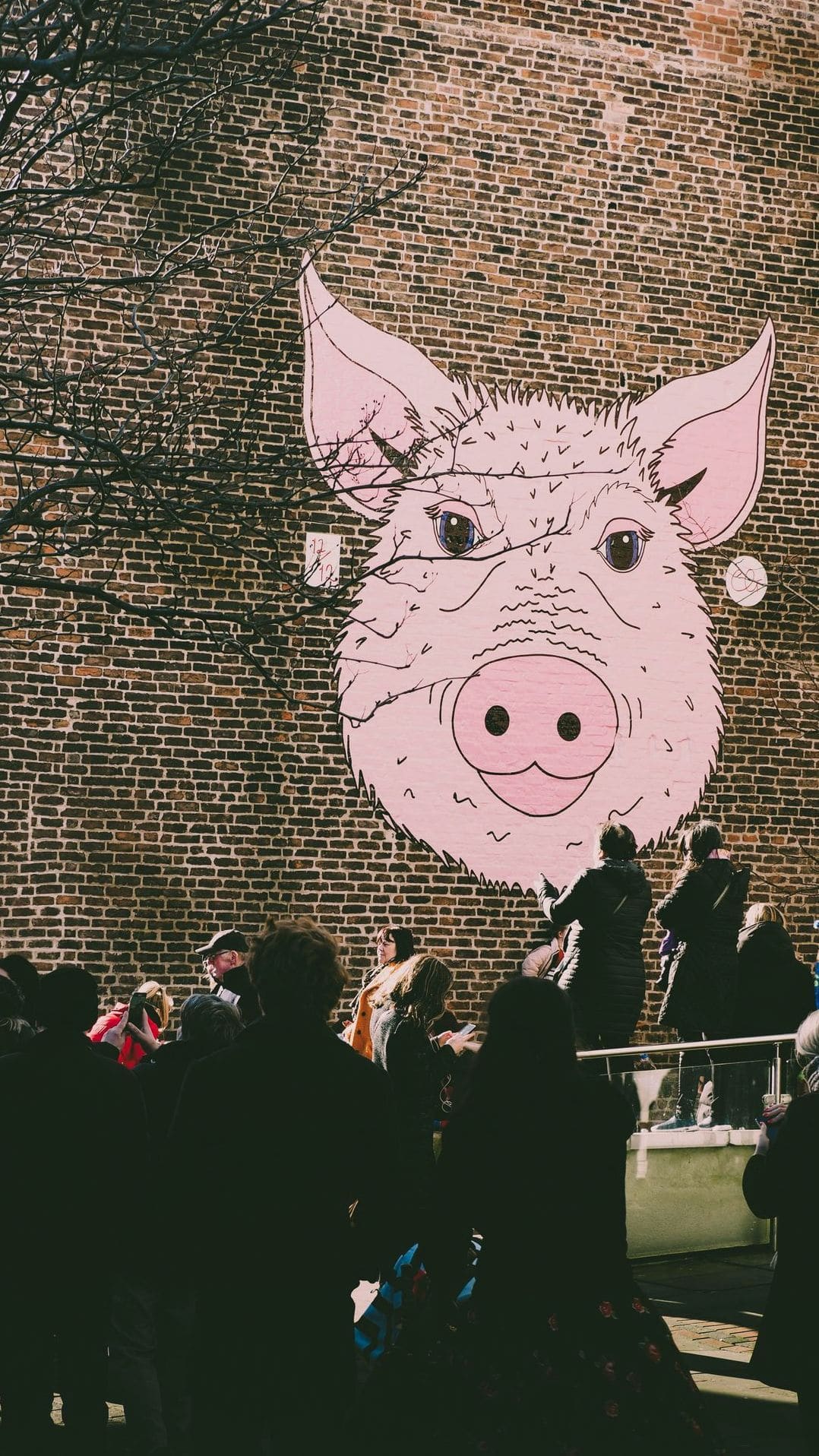 How Greenfield Pork Supports Consistent Quality from Farm to Fork